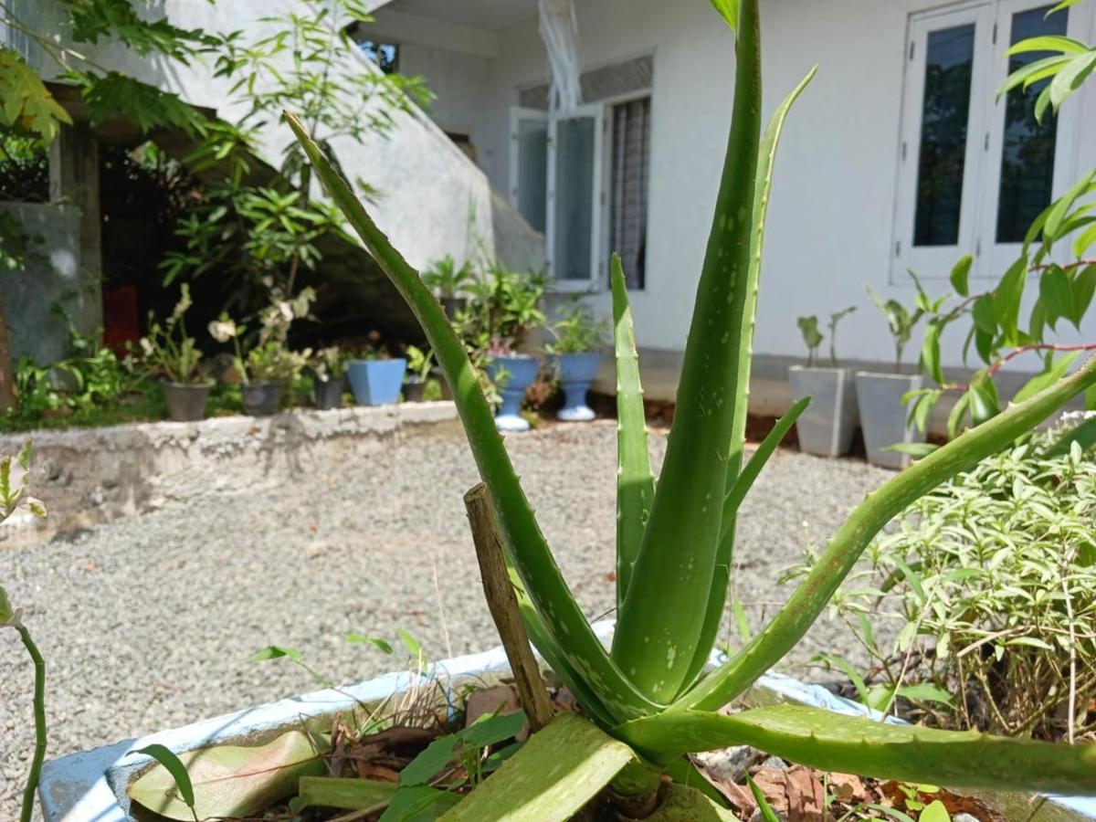 Villa Diamond Nest Unawatuna Exteriér fotografie